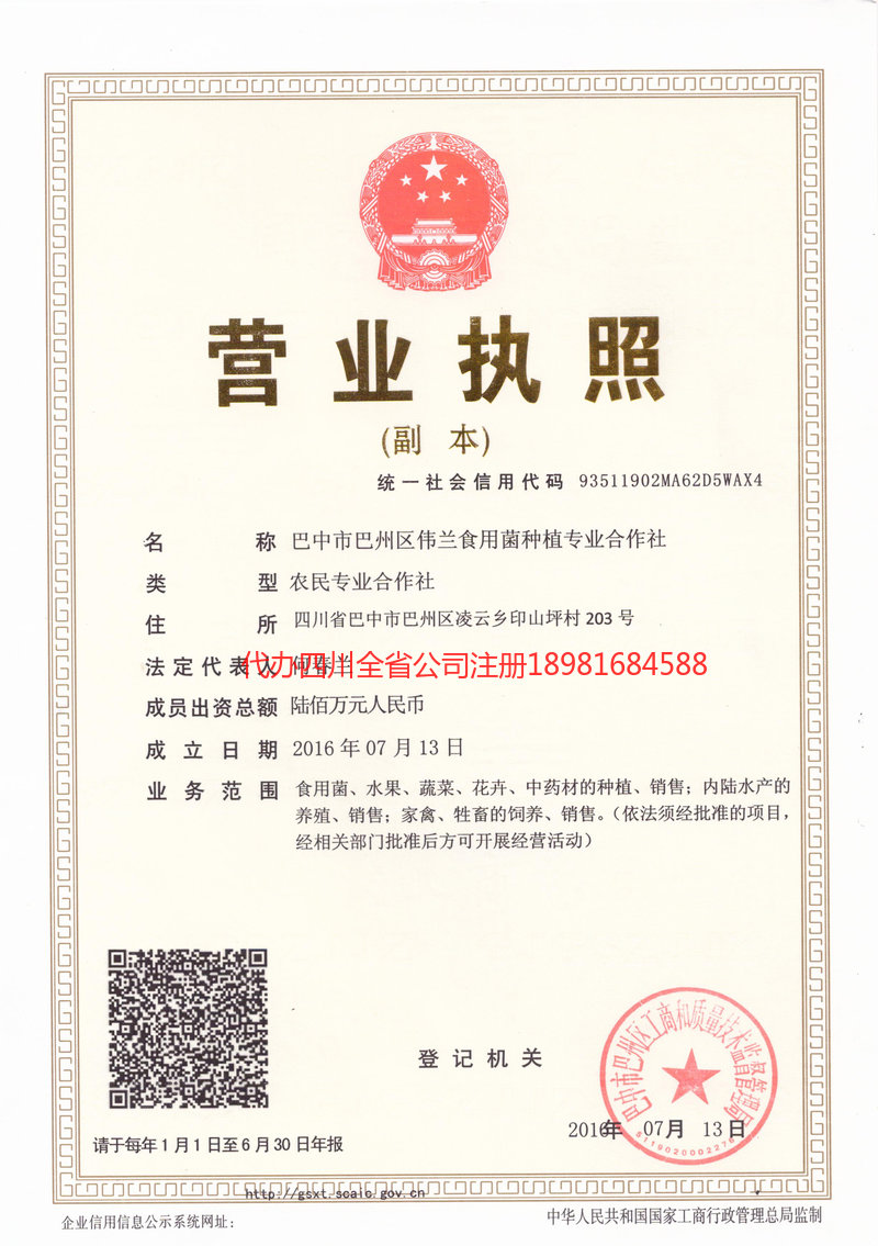 深圳深圳伟兰食用菌种植专业合作社